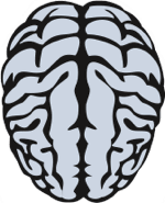 Click on the noggin for fun facts.